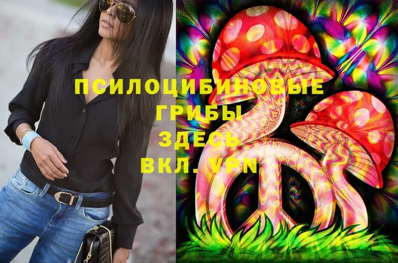 как найти закладки  Тутаев  Псилоцибиновые грибы Cubensis 